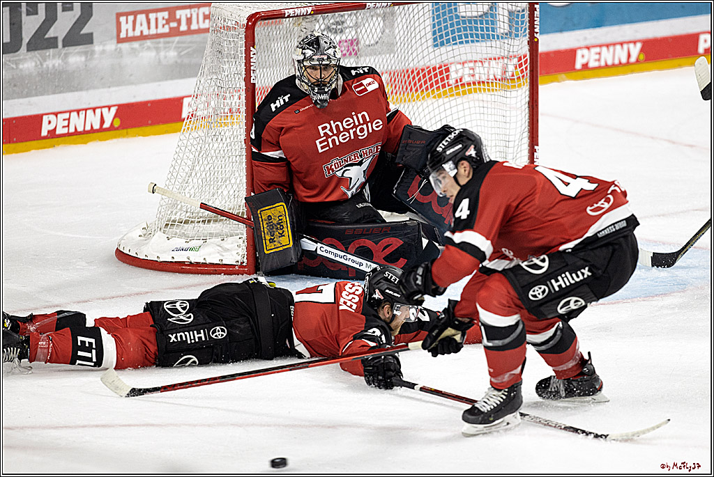 PENNY DEL;  Koelner Haie - Krefeld Pinguine; Koeln, 31.10.2021